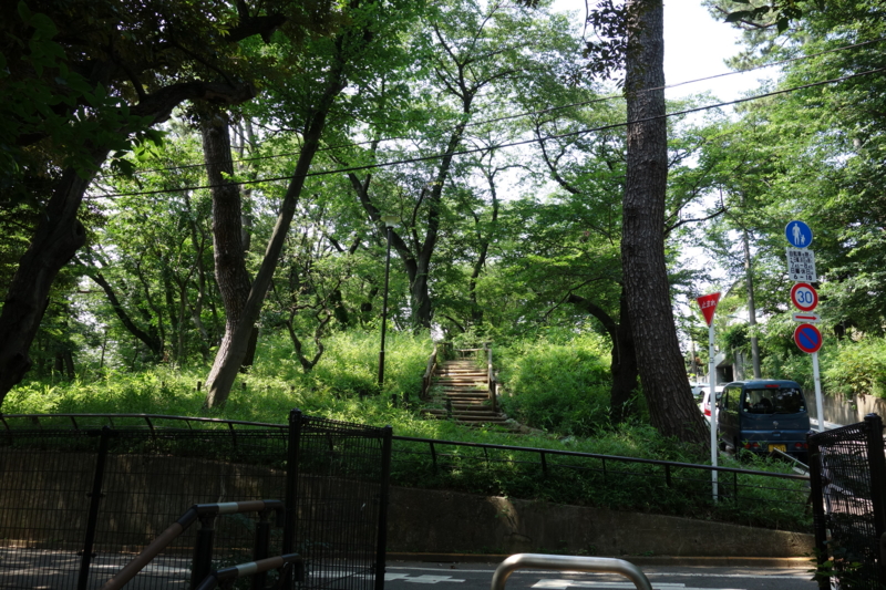 f:id:massneko:20150625141152j:plain
