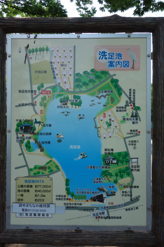 f:id:massneko:20150625141617j:plain