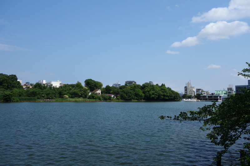 f:id:massneko:20150625141705j:plain