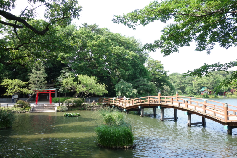 f:id:massneko:20150625142305j:plain