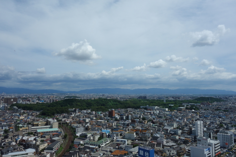 f:id:massneko:20150628143556j:plain