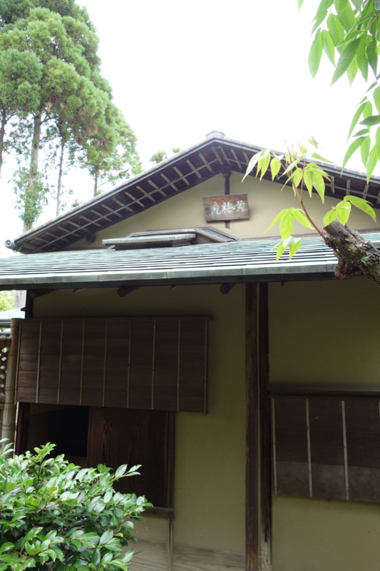 f:id:massneko:20150628154956j:plain f:id:massneko:20150628154956j:plain