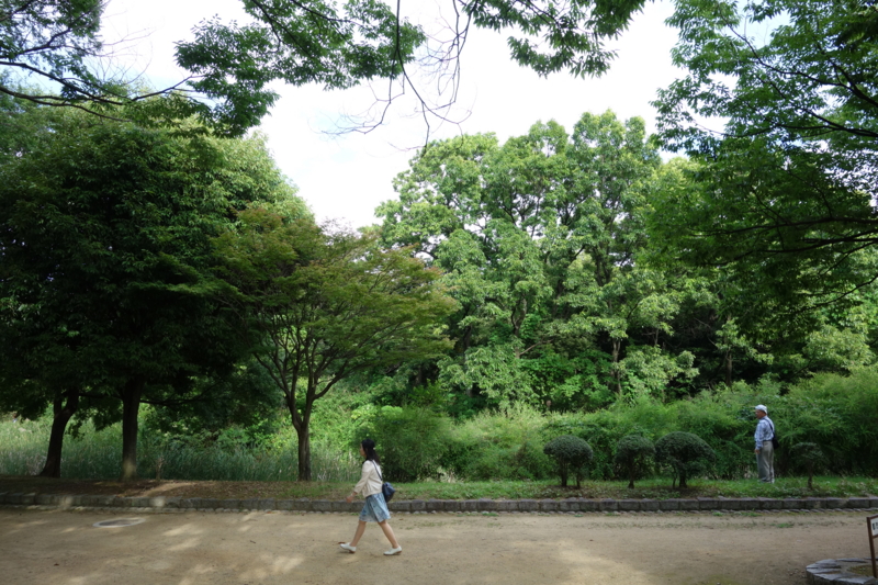 f:id:massneko:20150628163537j:plain f:id:massneko:20150628163537j:plain