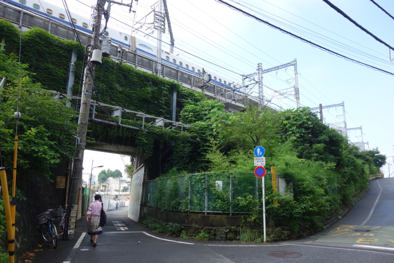 f:id:massneko:20150710080707j:plain