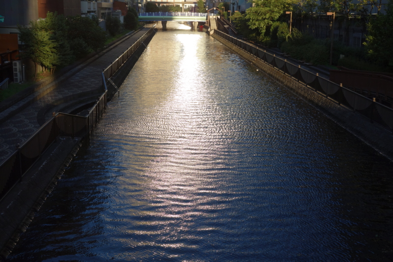 f:id:massneko:20150714181500j:plain