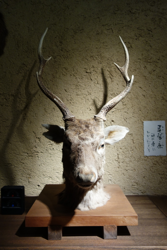 f:id:massneko:20150807134508j:plain
