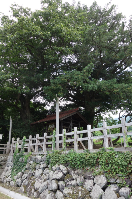 f:id:massneko:20150807140110j:plain