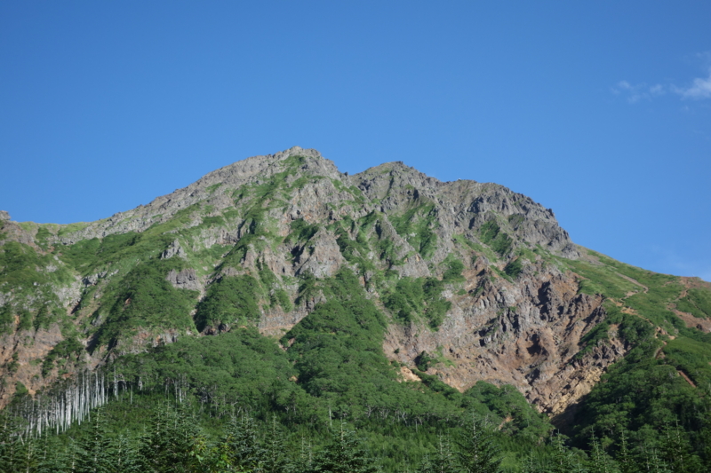 f:id:massneko:20150808161341j:plain