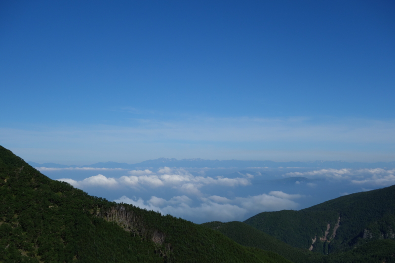 f:id:massneko:20150809080904j:plain