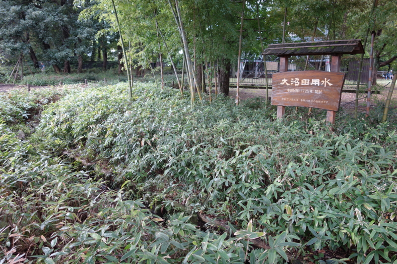f:id:massneko:20150926150129j:plain f:id:massneko:20150926150129j:plain