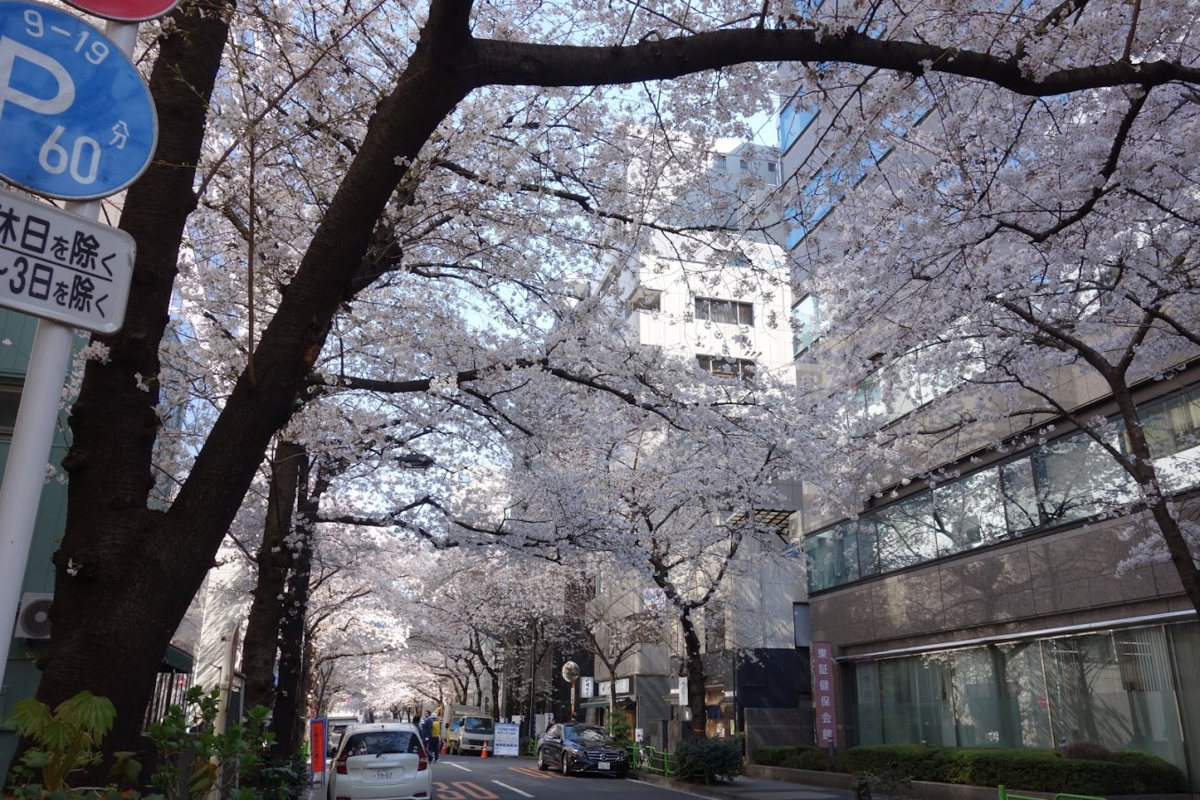 f:id:massneko:20200401085327p:plain