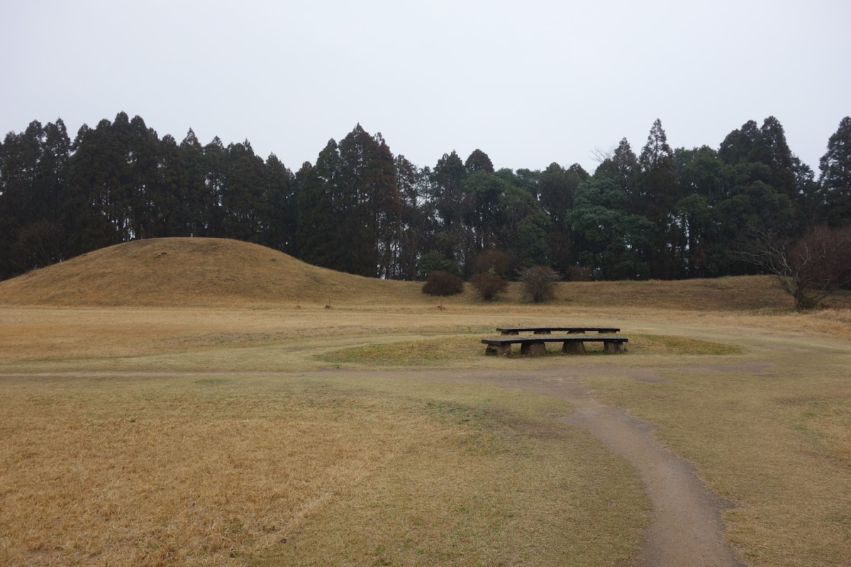 f:id:massneko:20200411203952p:plain