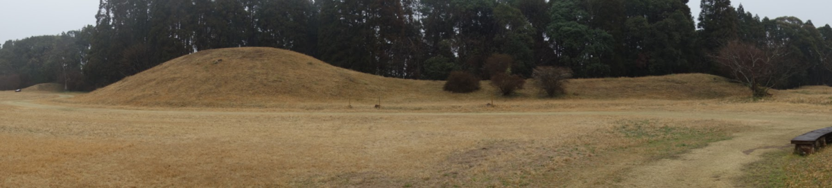 f:id:massneko:20200411212432p:plain