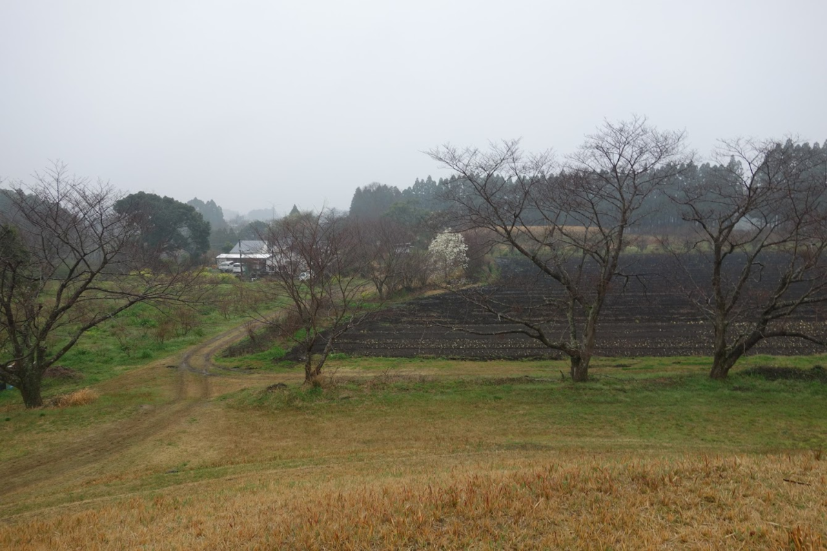 f:id:massneko:20200415174213p:plain f:id:massneko:20200415174213p:plain