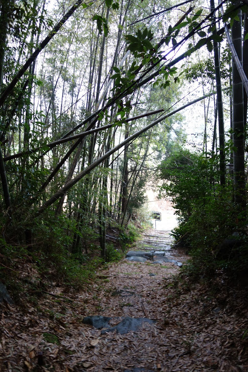 f:id:massneko:20200417080641p:plain