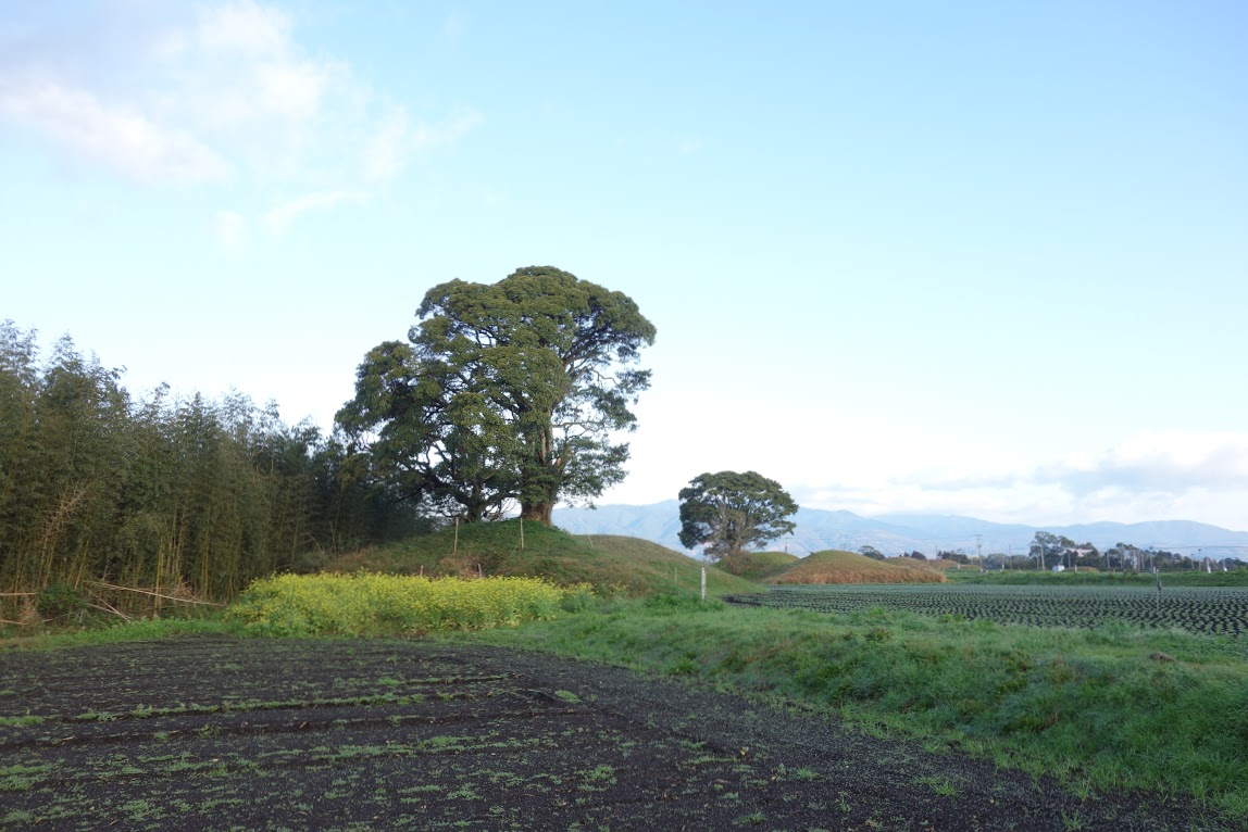 f:id:massneko:20200417105920p:plain