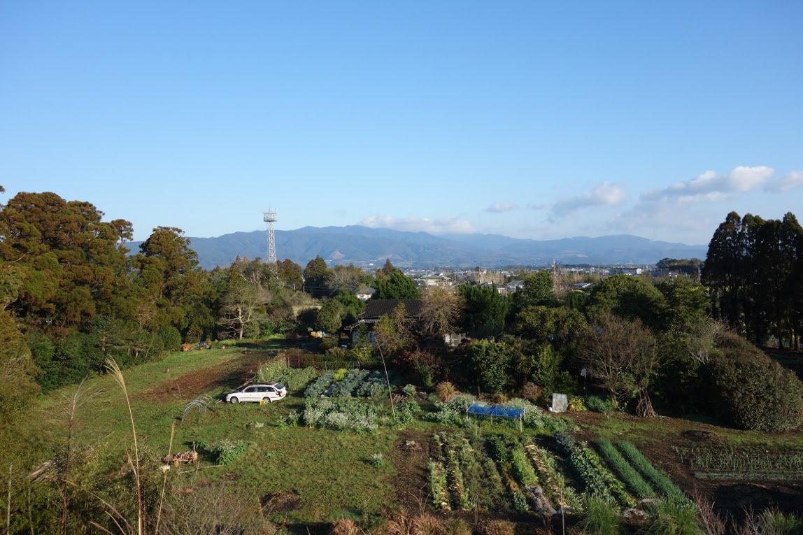 f:id:massneko:20200417112557p:plain