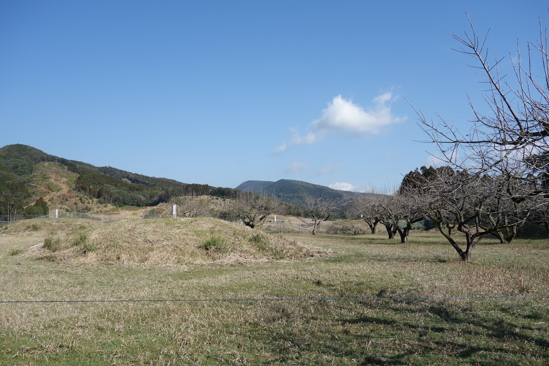 f:id:massneko:20200417131343p:plain