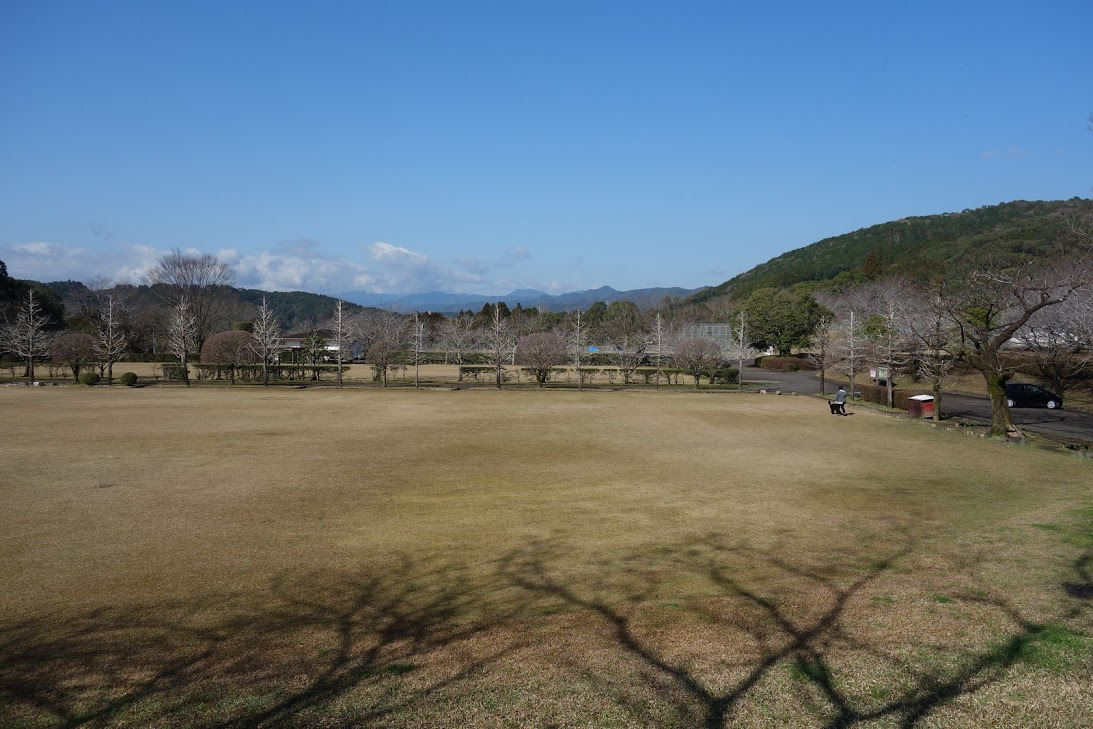 f:id:massneko:20200417132412p:plain