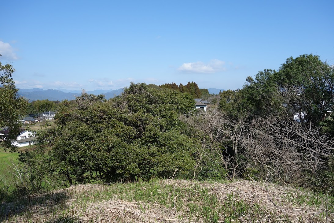 f:id:massneko:20200417134937p:plain