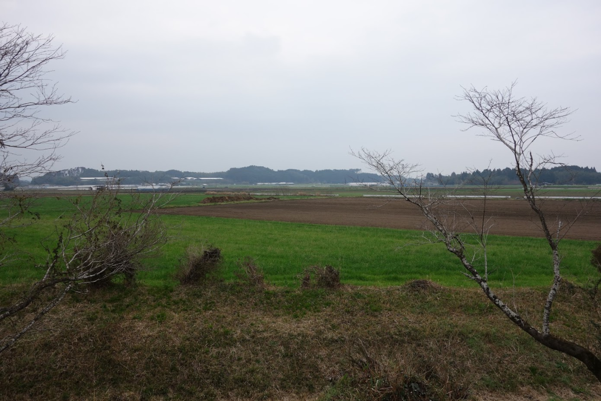 f:id:massneko:20200421113945p:plain f:id:massneko:20200421113945p:plain