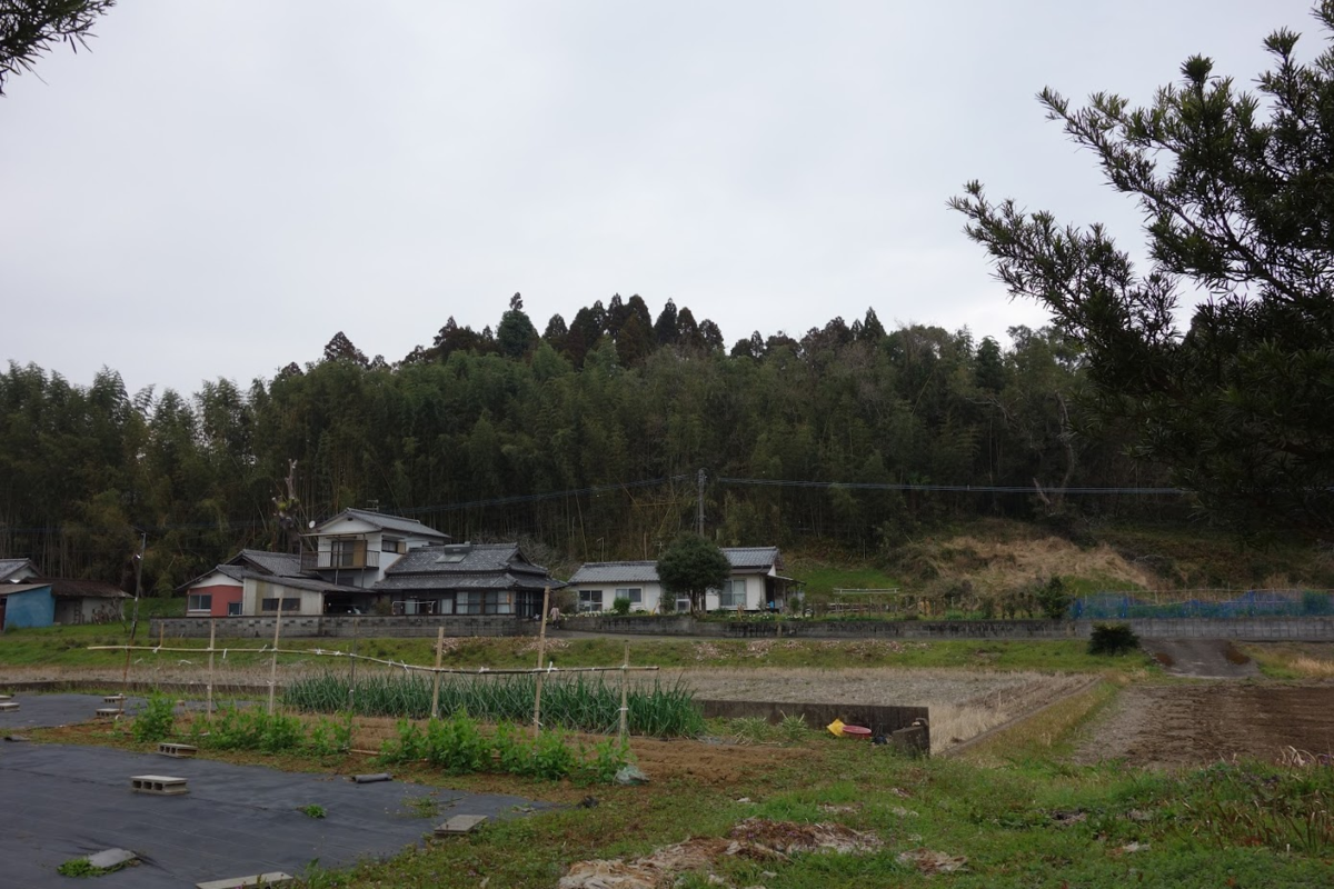 f:id:massneko:20200421115801p:plain