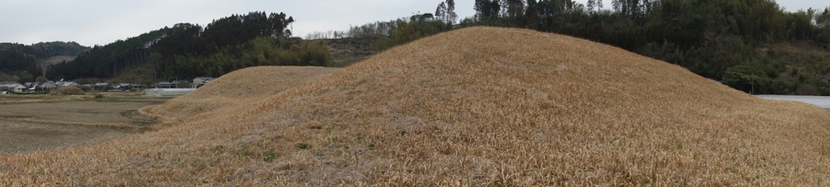 f:id:massneko:20200421121809p:plain f:id:massneko:20200421121809p:plain