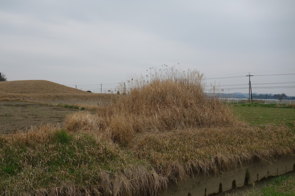 f:id:massneko:20200421122045p:plain f:id:massneko:20200421122045p:plain