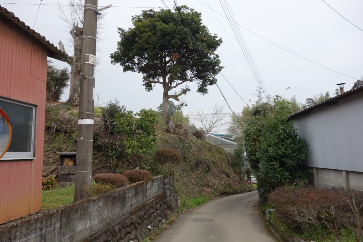 f:id:massneko:20200421143432p:plain