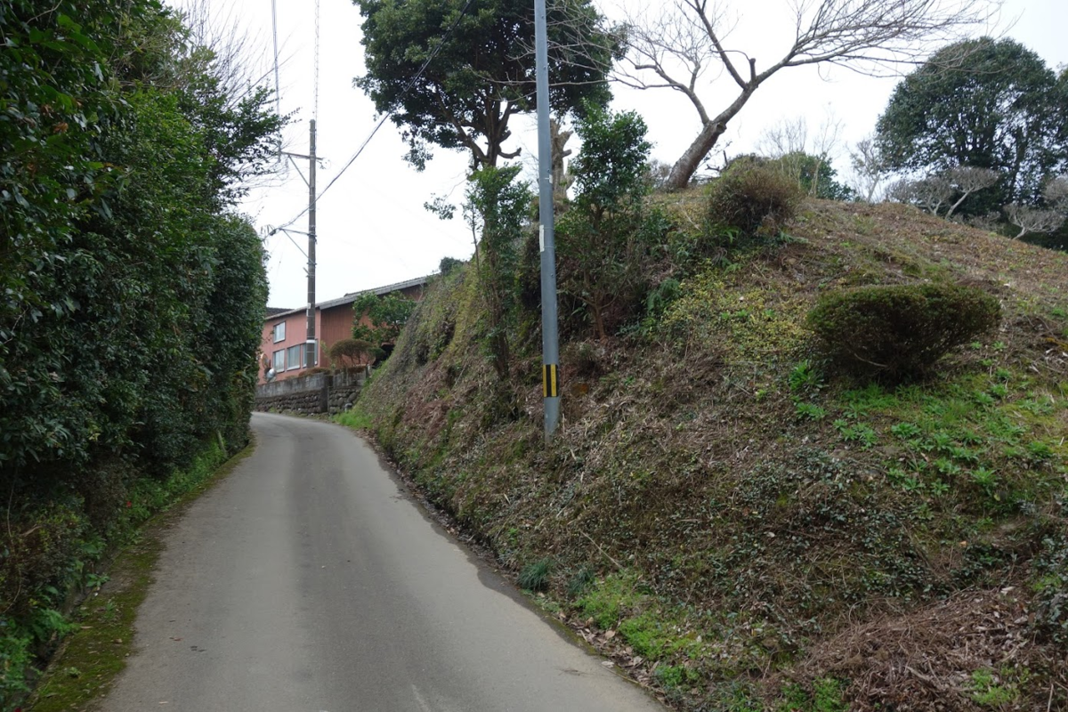 f:id:massneko:20200421143504p:plain