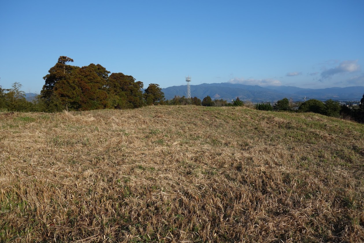 f:id:massneko:20200423221148p:plain