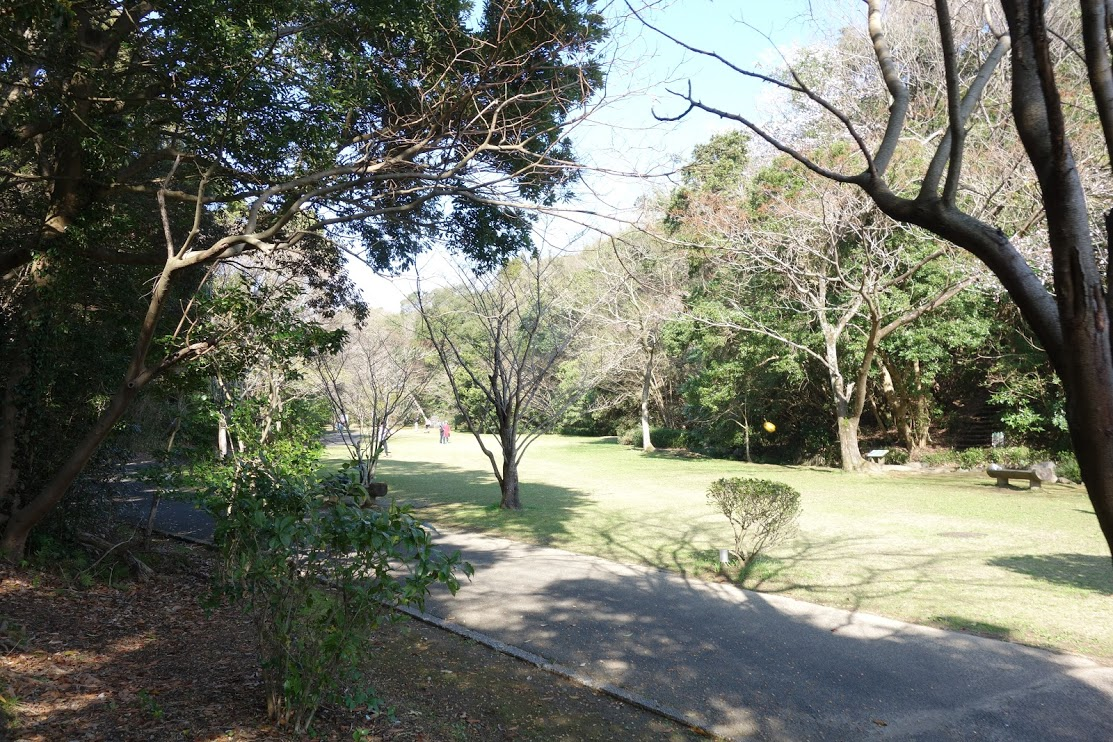 f:id:massneko:20200428135647p:plain