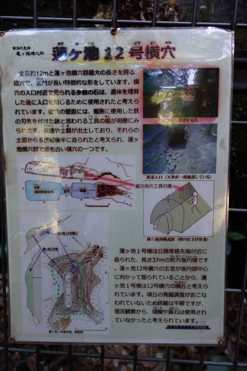 f:id:massneko:20200428135809p:plain