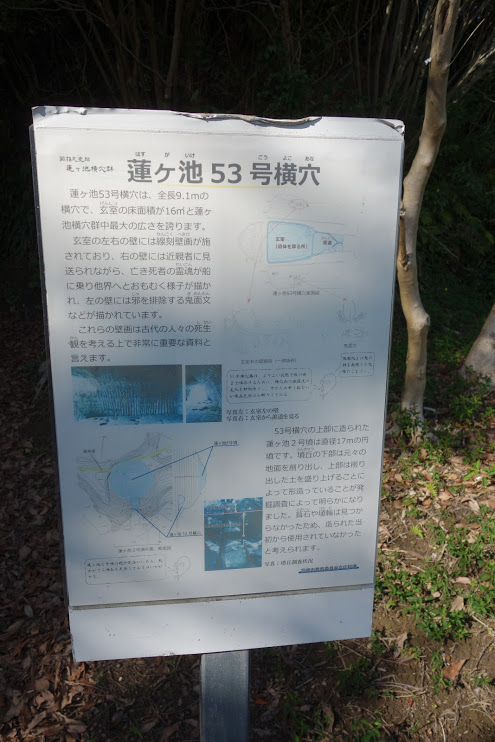 f:id:massneko:20200428140027p:plain