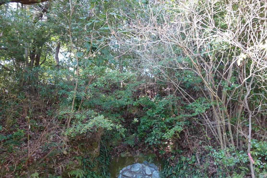 f:id:massneko:20200428140049p:plain