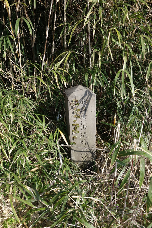 唐仁古墳群 16号墳（薬師堂塚）・100号墳（役所塚） 鹿児島県