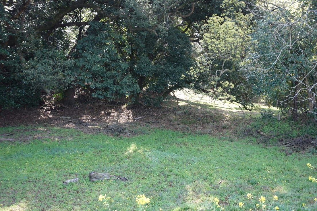 f:id:massneko:20200515093123p:plain