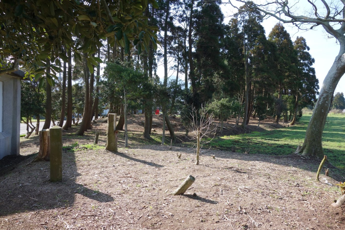 f:id:massneko:20200517100527p:plain f:id:massneko:20200517100527p:plain
