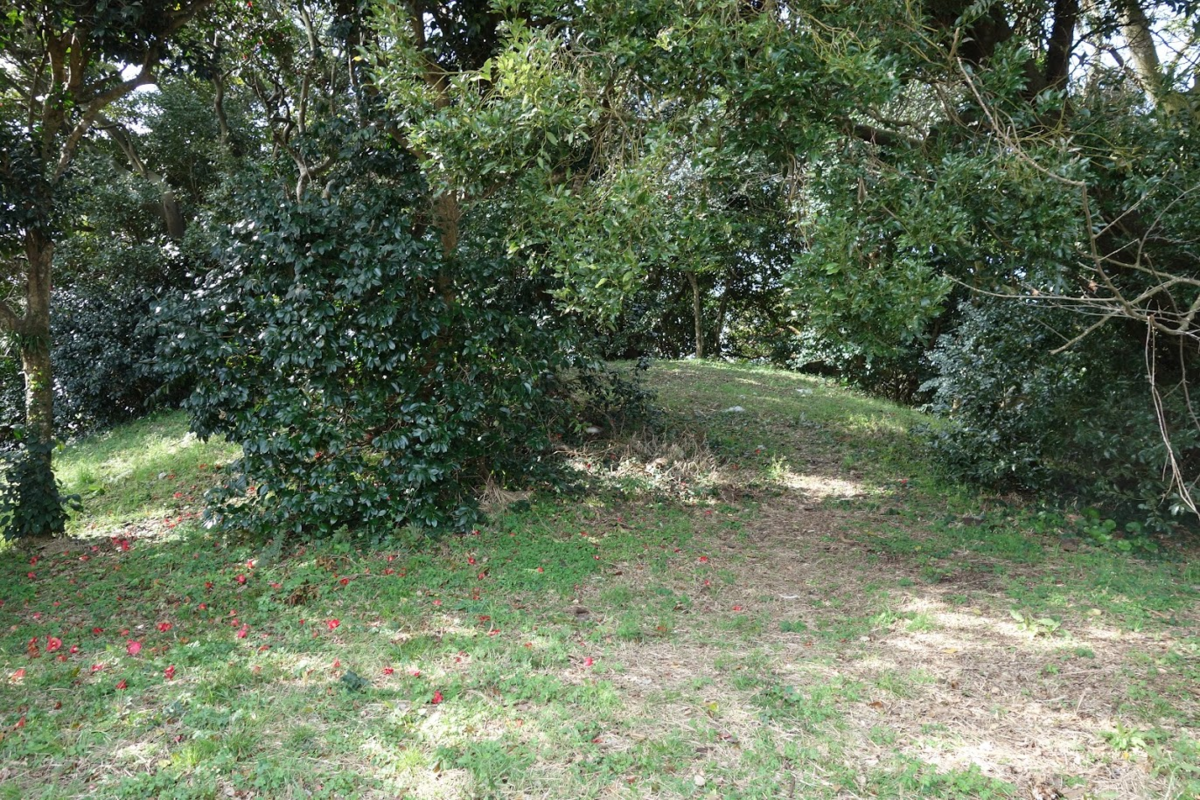 f:id:massneko:20200517103837p:plain