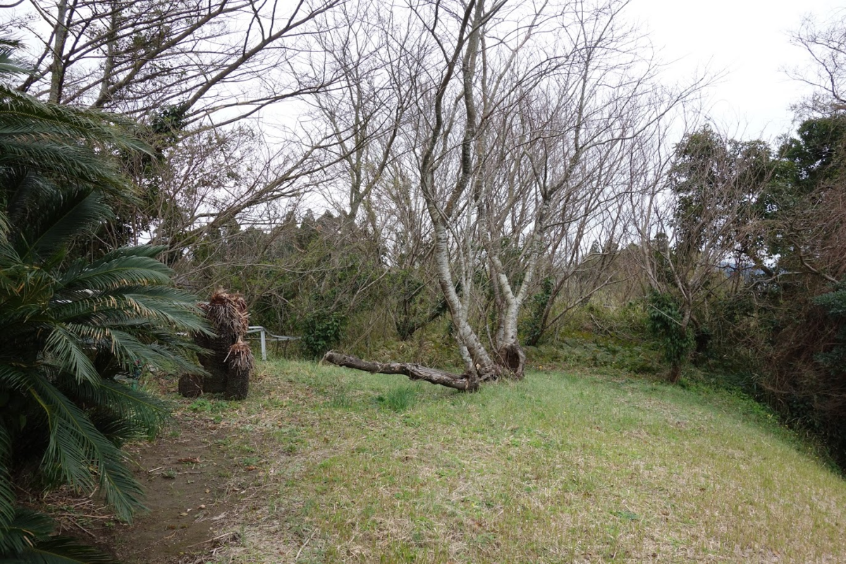 f:id:massneko:20200517115244p:plain