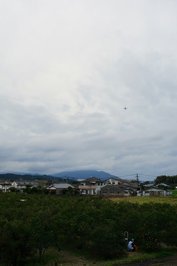 f:id:massneko:20200517115454p:plain