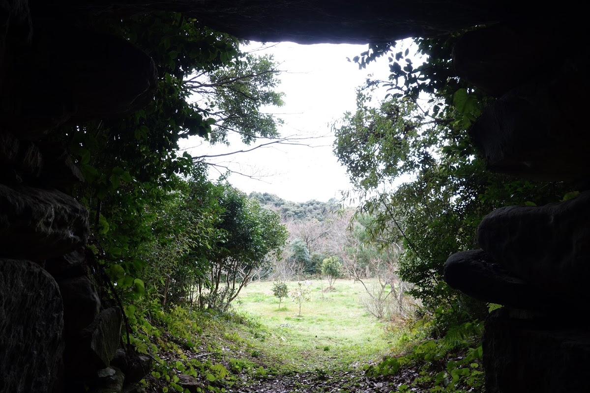 f:id:massneko:20200526084524p:plain
