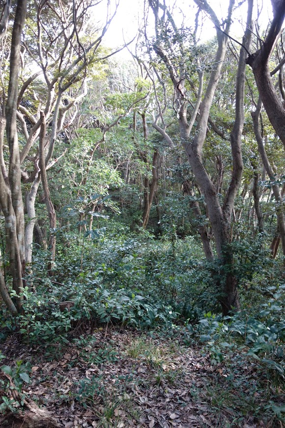 f:id:massneko:20200529141913p:plain f:id:massneko:20200529141913p:plain