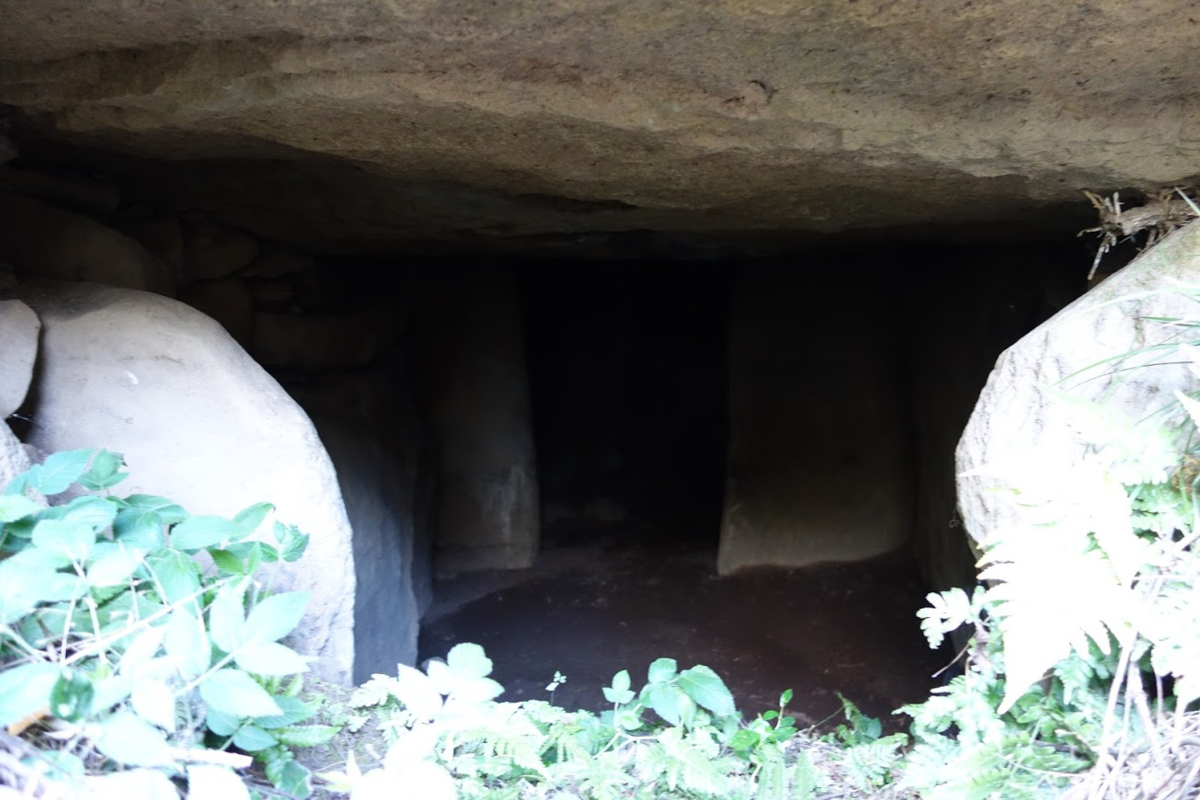 f:id:massneko:20200529143935p:plain f:id:massneko:20200529143935p:plain