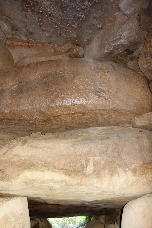 f:id:massneko:20200529144325p:plain f:id:massneko:20200529144325p:plain