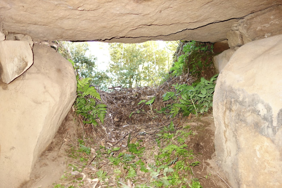 f:id:massneko:20200529144415p:plain f:id:massneko:20200529144415p:plain