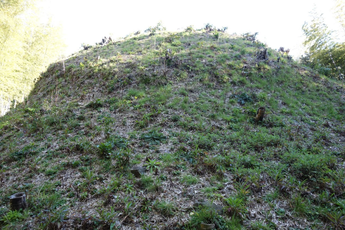 f:id:massneko:20200529144505p:plain f:id:massneko:20200529144505p:plain