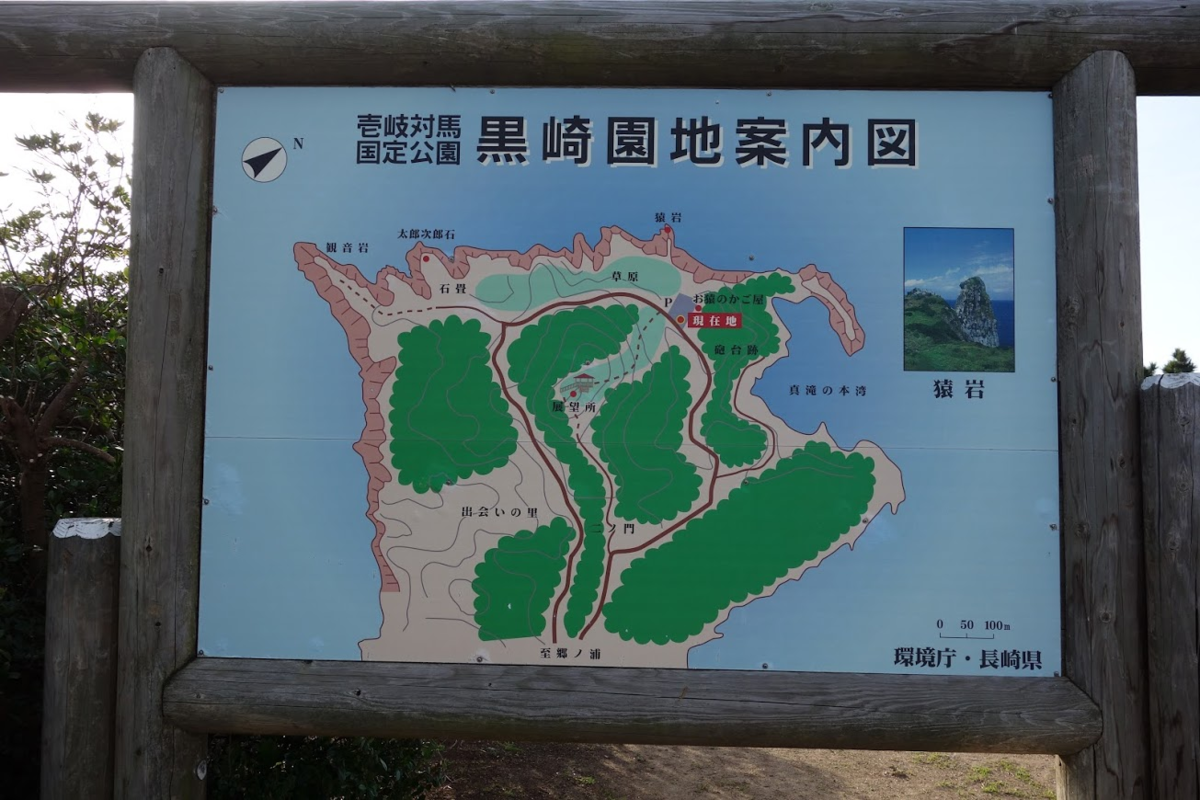 f:id:massneko:20200529145616p:plain