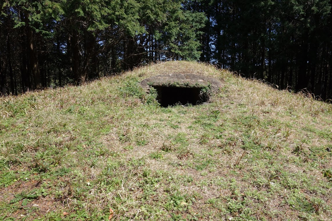 f:id:massneko:20200529153343p:plain