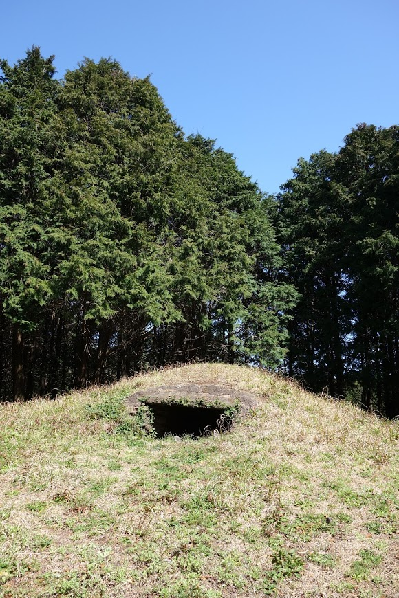 f:id:massneko:20200529153759p:plain